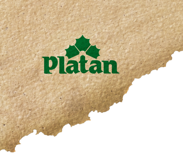 Platan